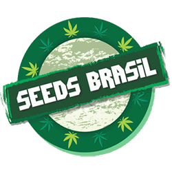 Seeds Brasil
